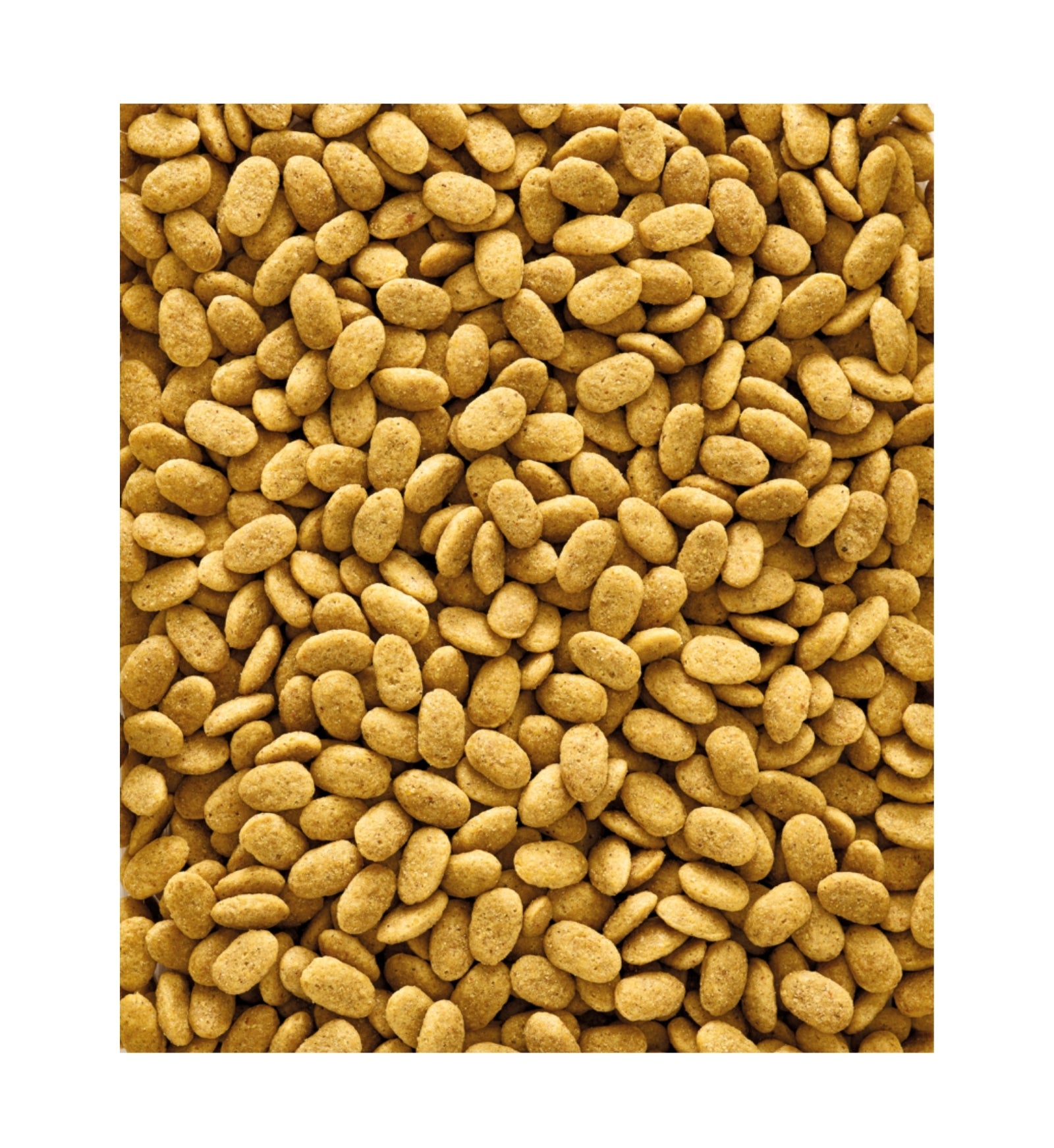 VERSELE LAGA NUTRIBIRD P15 10KG ORIGINAL MANTENIMENTO