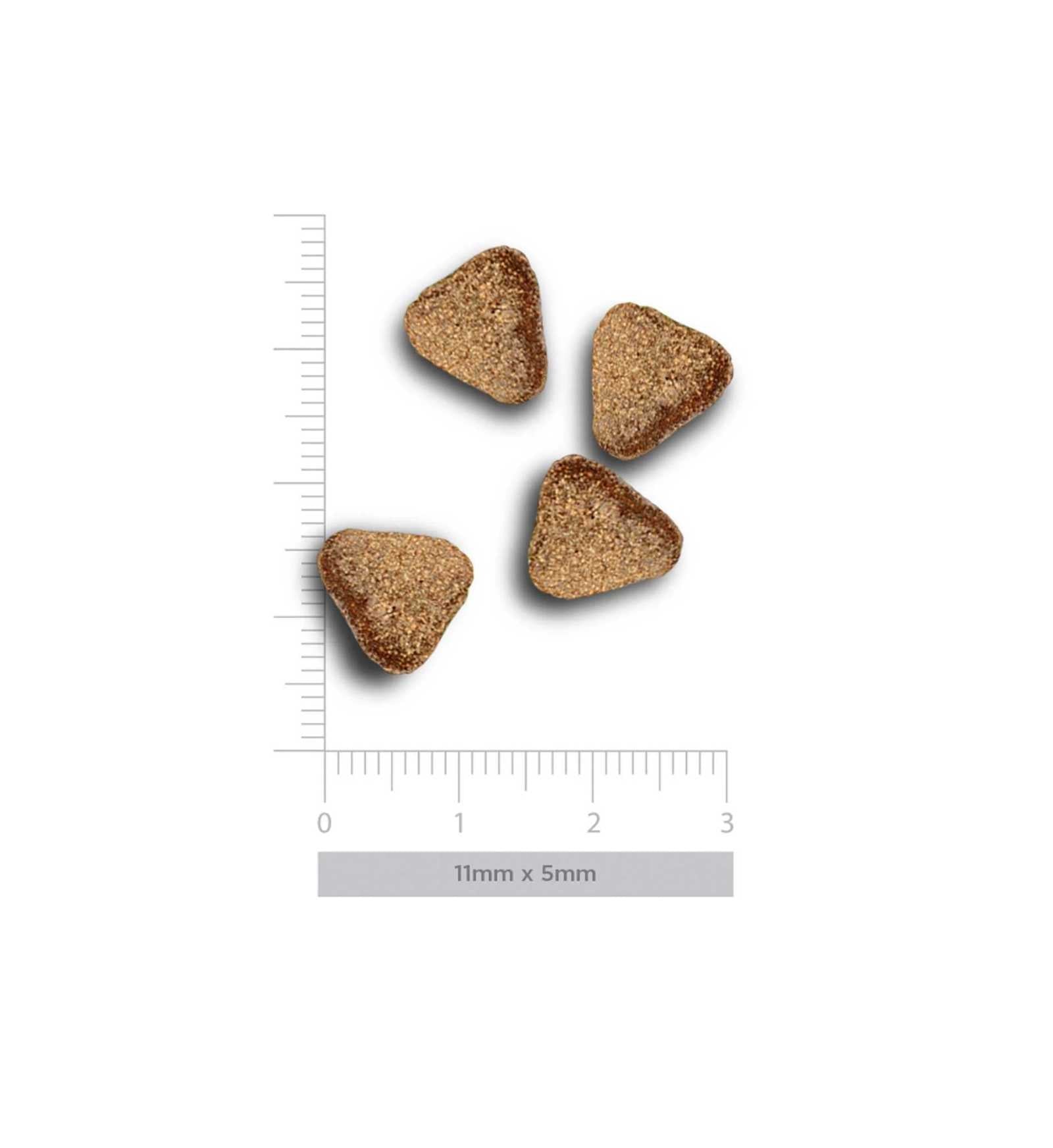 AMANOVA CANE ADULT MINI SENSITIVE DELICIOUS AGNELLO DA 2 KG