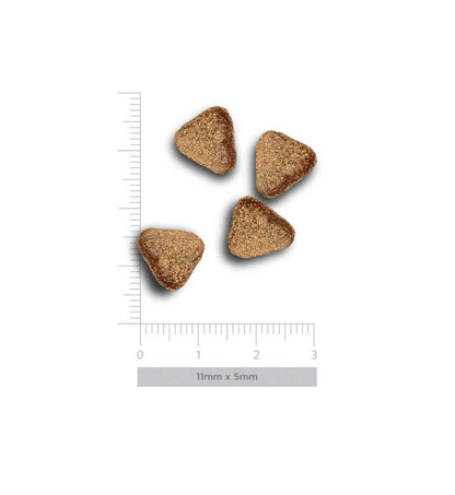 AMANOVA CANE ADULT MINI SENSITIVE DELICIOUS AGNELLO DA 2 KG