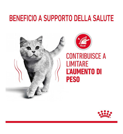 ROYAL CANIN GATTO LIGHT WEIGHT CARE DA 1,5 KG