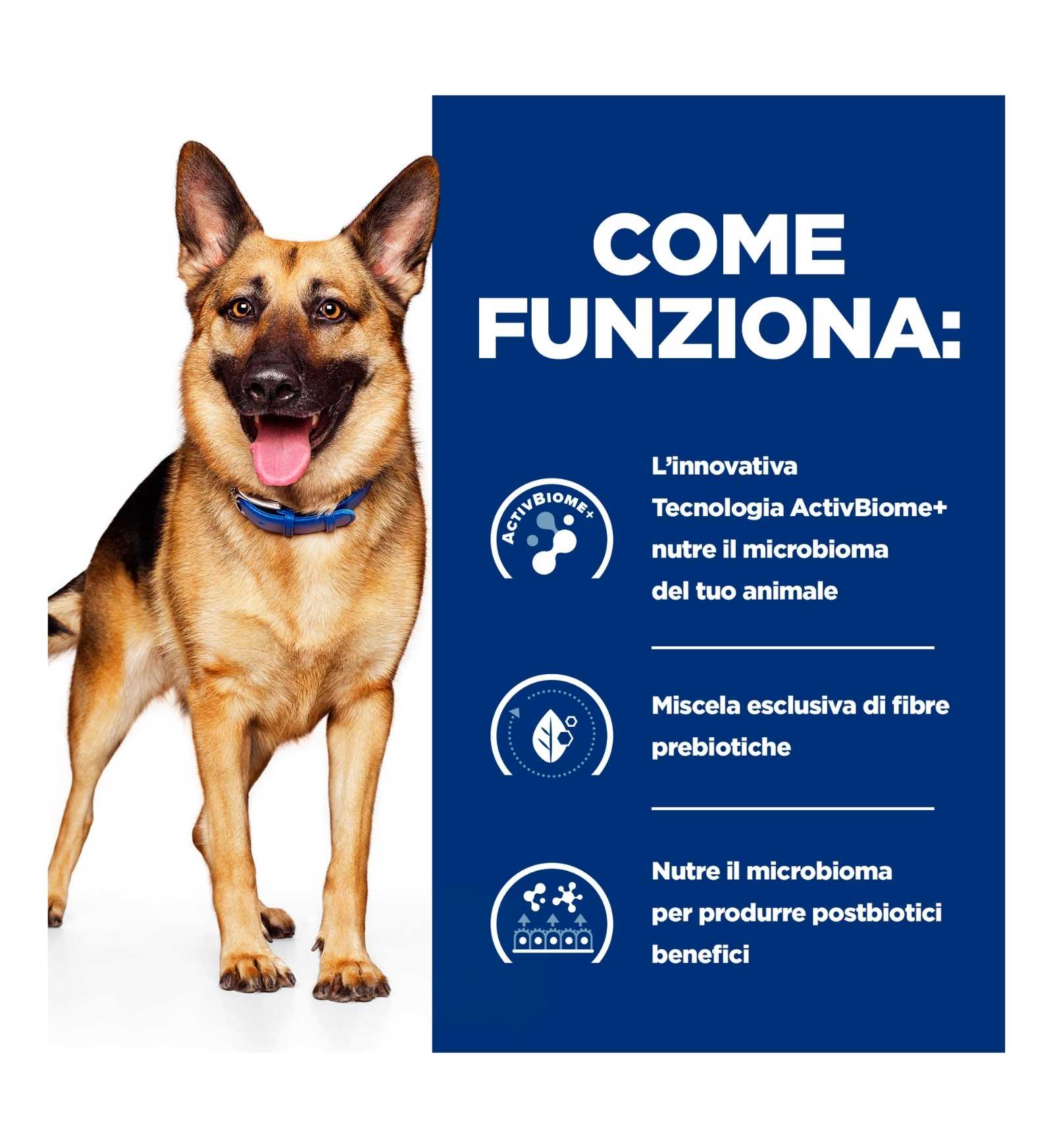 HILL'S  PRESCRIPTION DIET CANE  GASTROINTESTINAL BIOME DIGESTIVE / FIBRE CARE POLLO IN LATTINA