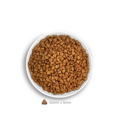 AMANOVA GATTO STERILIZZATO SENSITIVE SALMONE DELUXE
