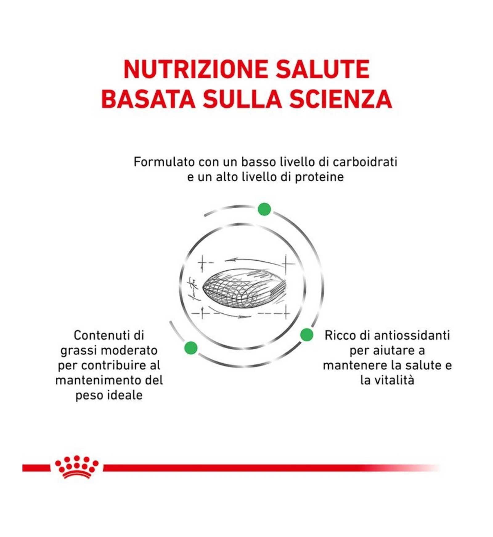 ROYAL CANIN GATTO DIET DIABETIC DA 1,5 KG