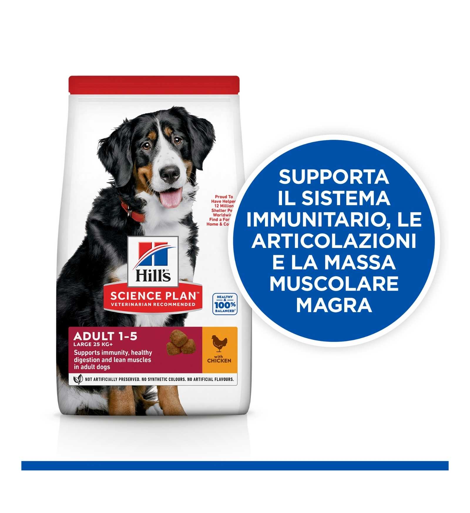 HILL'S SCIENCE PLAN CANE ADULT LARGE BREED AL POLLO