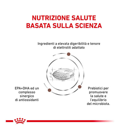 ROYAL CANIN CANE DIET GASTROINTESTINAL LOW FAT