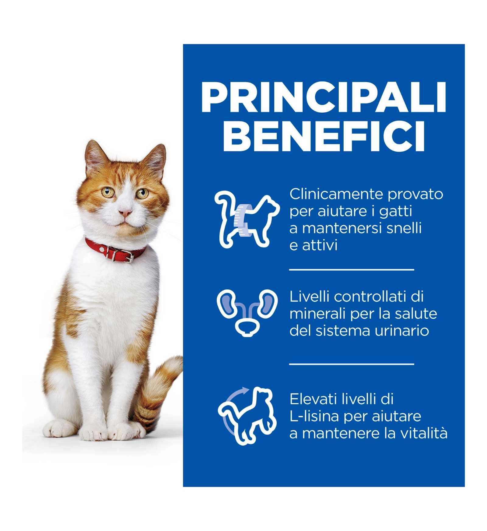 HILL'S SCIENCE PLAN GATTO ADULT STERILISED AL TACCHINO DA 85 GR IN BUSTA