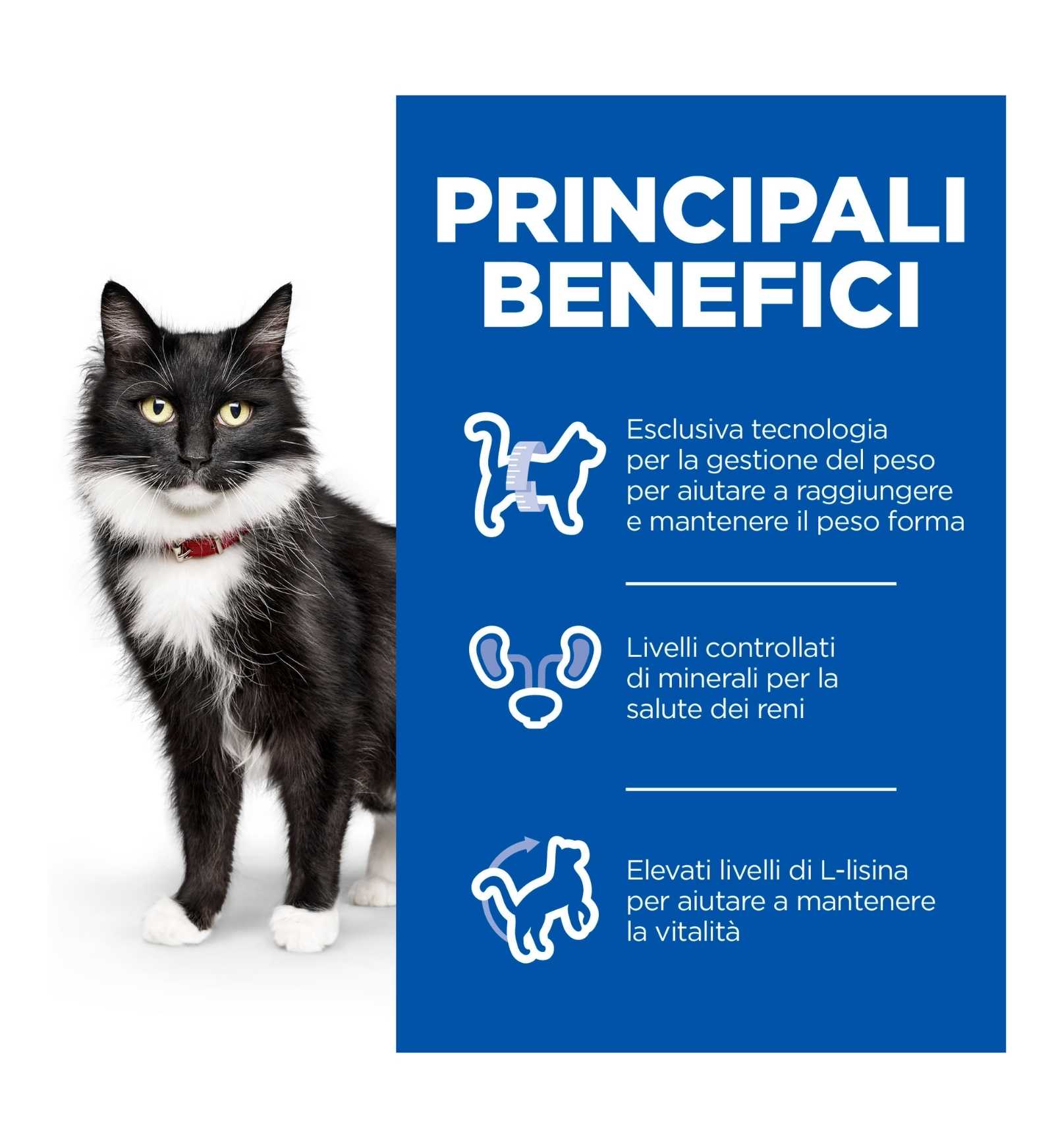 HILL'S SCIENCE PLAN GATTO MATURE STERILISED AL POLLO DA 1,5 KG