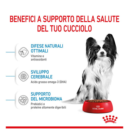 ROYAL CANIN CANE PUPPY X-SMALL