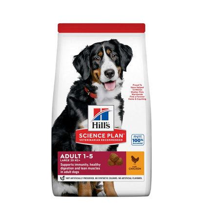 HILL'S SCIENCE PLAN CANE ADULT LARGE BREED AL POLLO