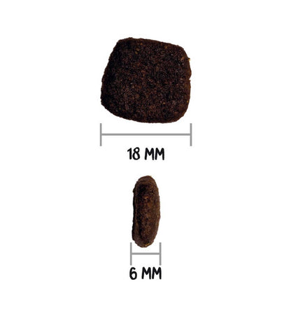 OWNAT CANE GRAIN FREE HYPOALLERGENIC SALMONE