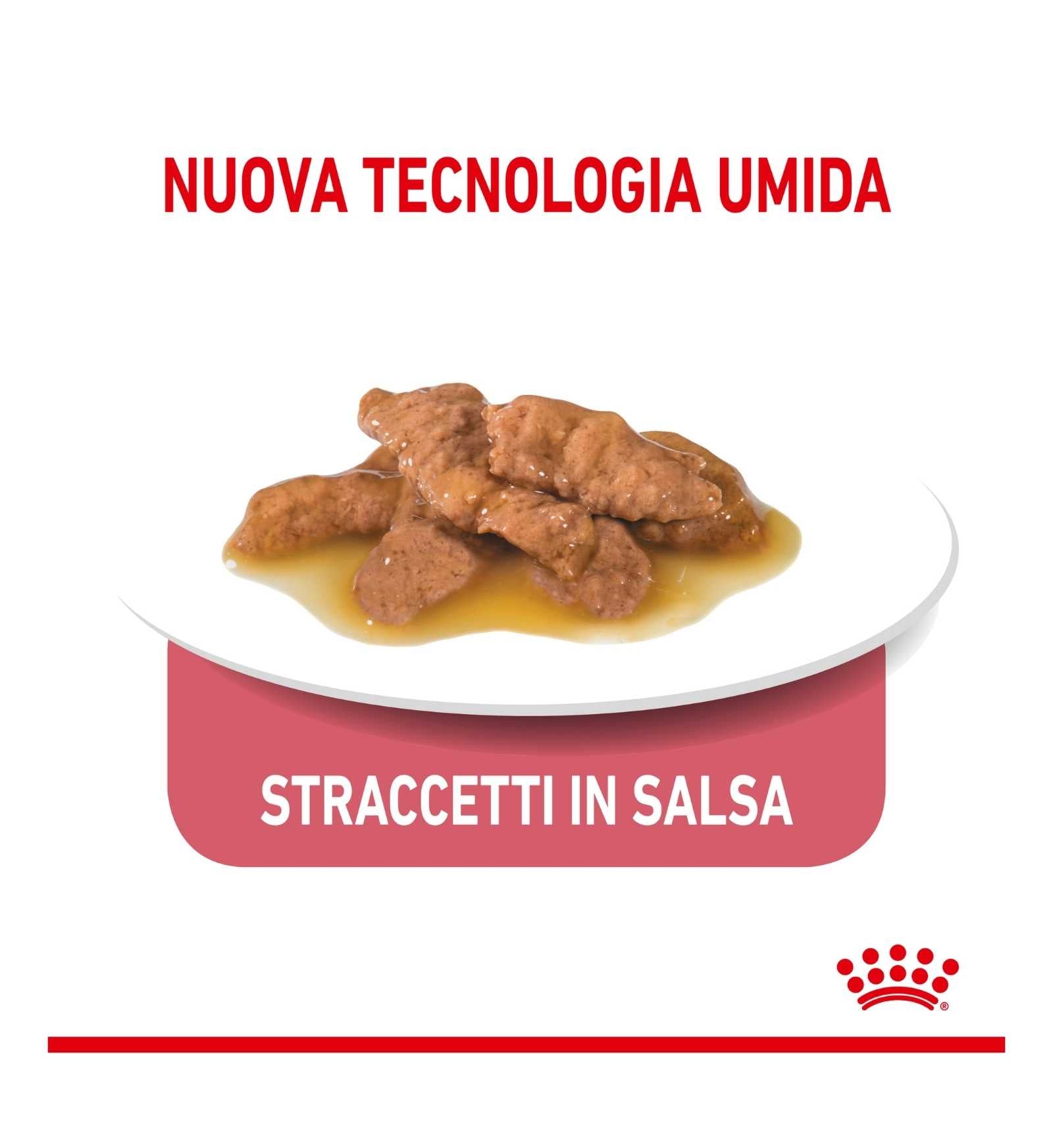 ROYAL CANIN GATTO INDOOR GRAVY DA 85 GR IN BUSTINA