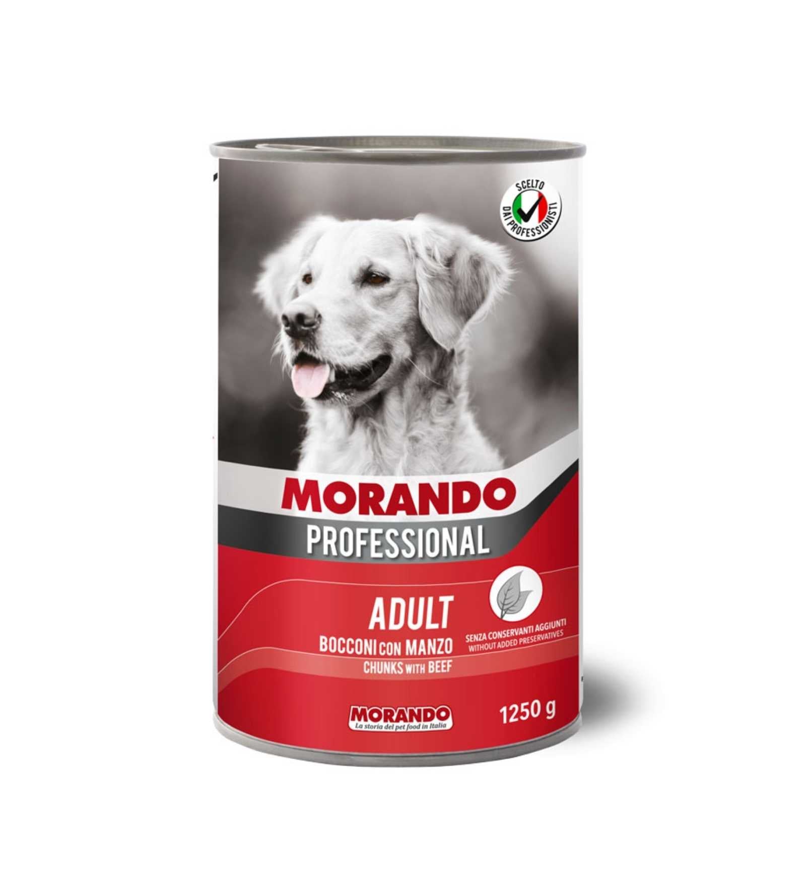 MORANDO MIGLIOR CANE PROFESSIONAL BOCCONI CON MANZO IN LATTINA
