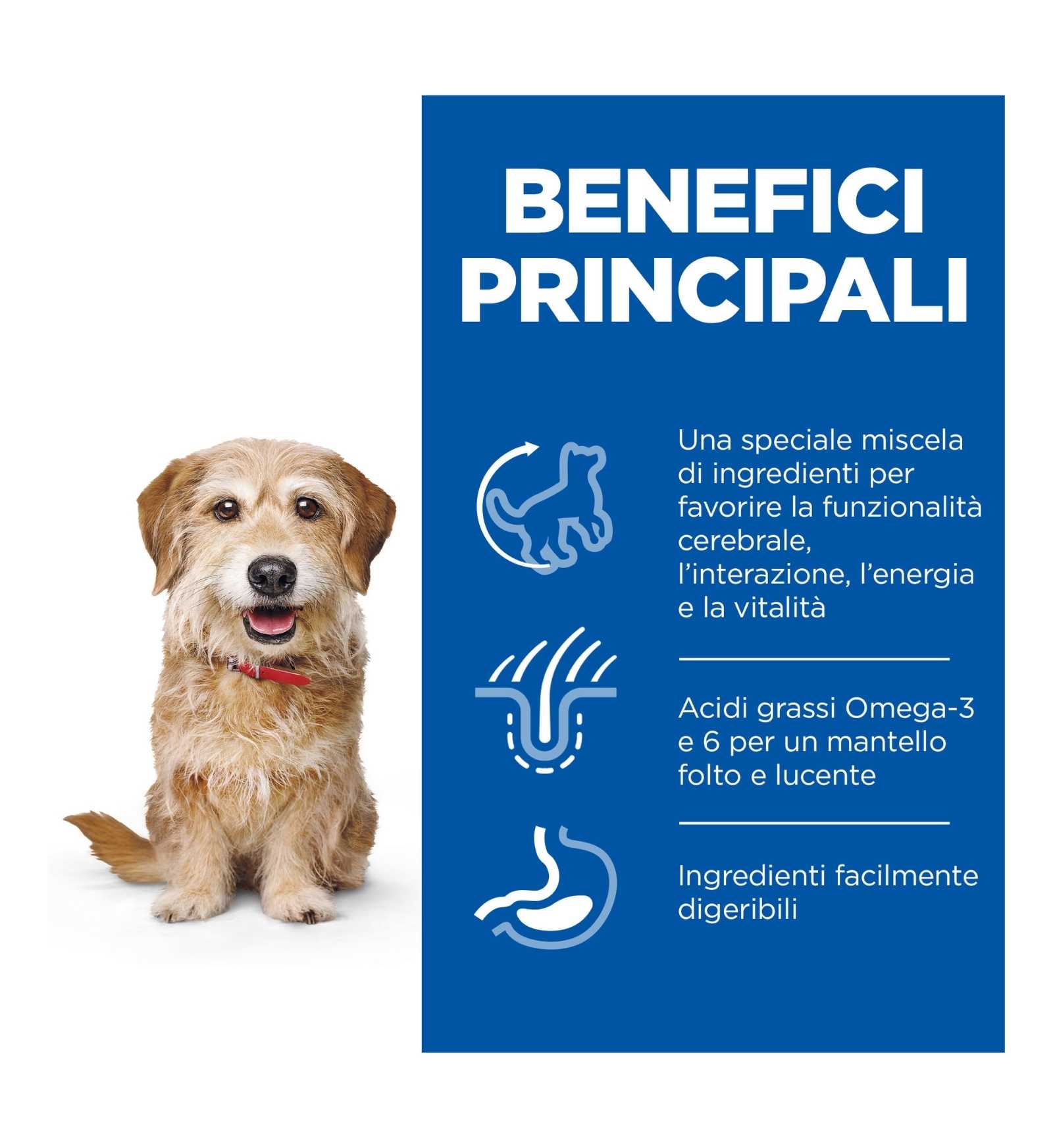 HILL'S SCIENCE PLAN CANE SENIOR VITALITY MATURE 7 + SMALL & MINI POLLO DA 1,5 KG