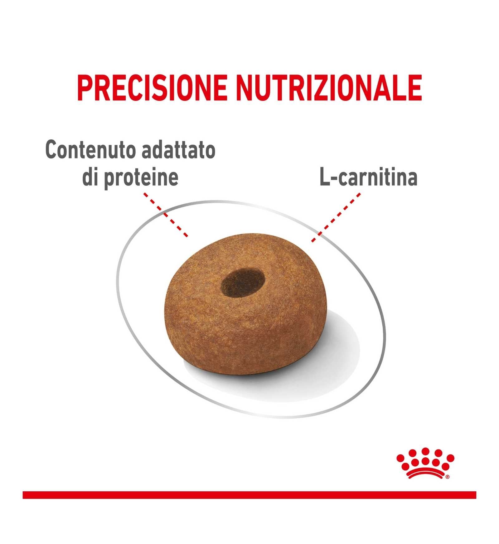 ROYAL CANIN CANE ADULT MAXI LIGHT WEIGHT CARE DA 12 KG