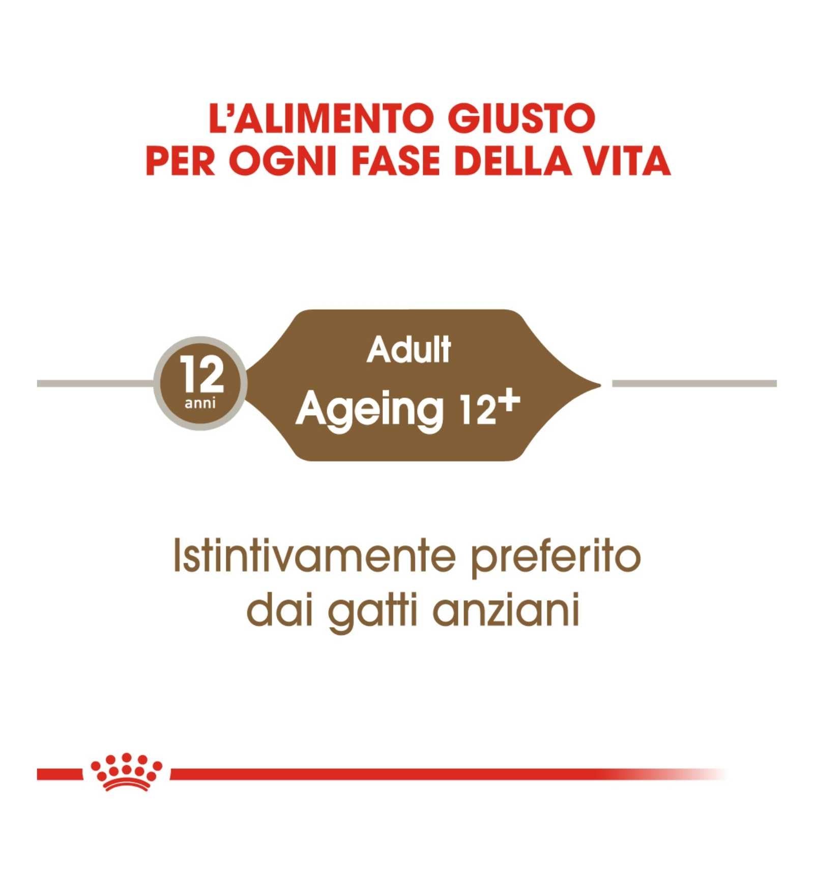 ROYAL CANIN GATTO AGEING 12+ GRAVY DA 85 GR IN BUSTA
