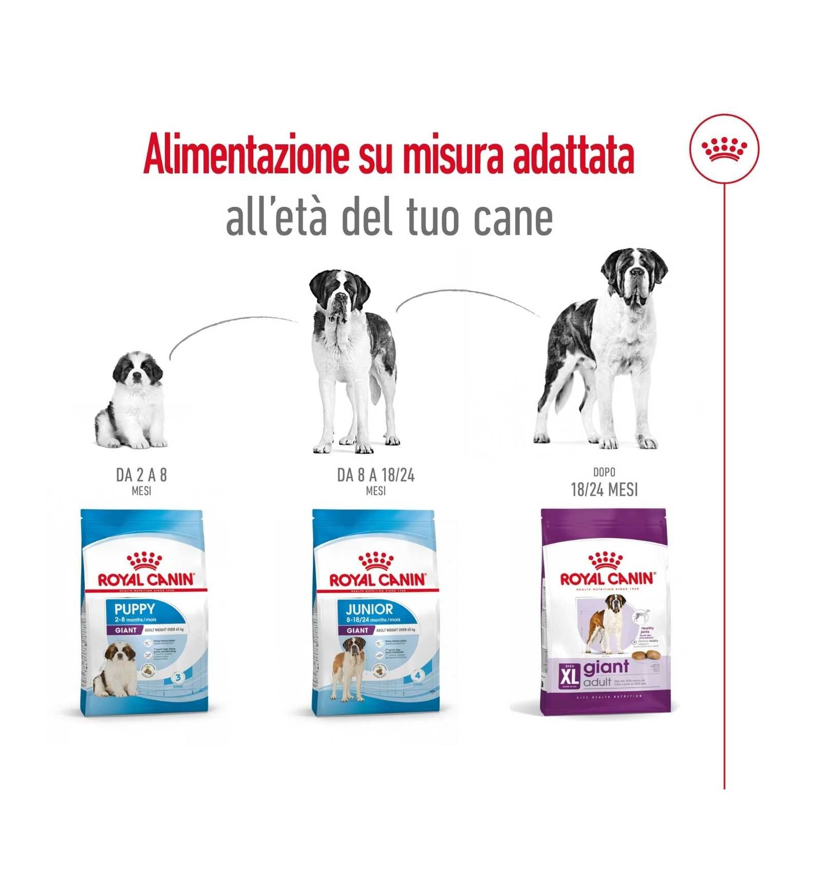 ROYAL CANIN CANE ADULT GIANT DA 15 KG