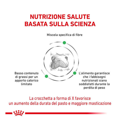 ROYAL CANIN CANE DIET SATIETY WEIGHT MANAGEMENT