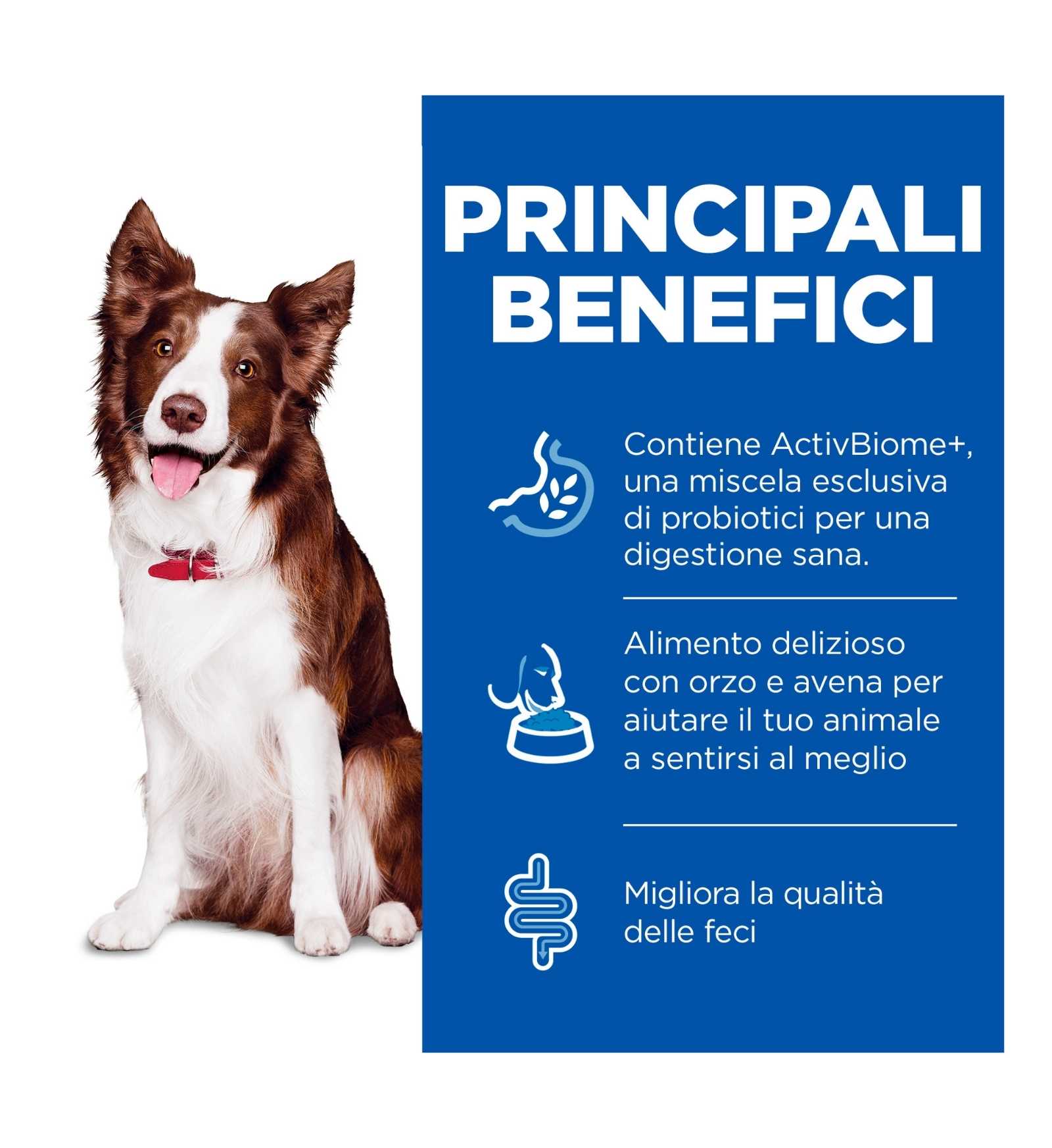 HILL'S SCIENCE PLAN CANE ADULT MEDIUM PERFECT DIGESTION DA 2,5 KG