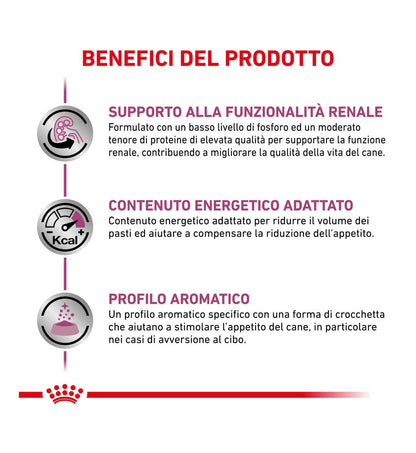 ROYAL CANIN CANE DIET RENAL
