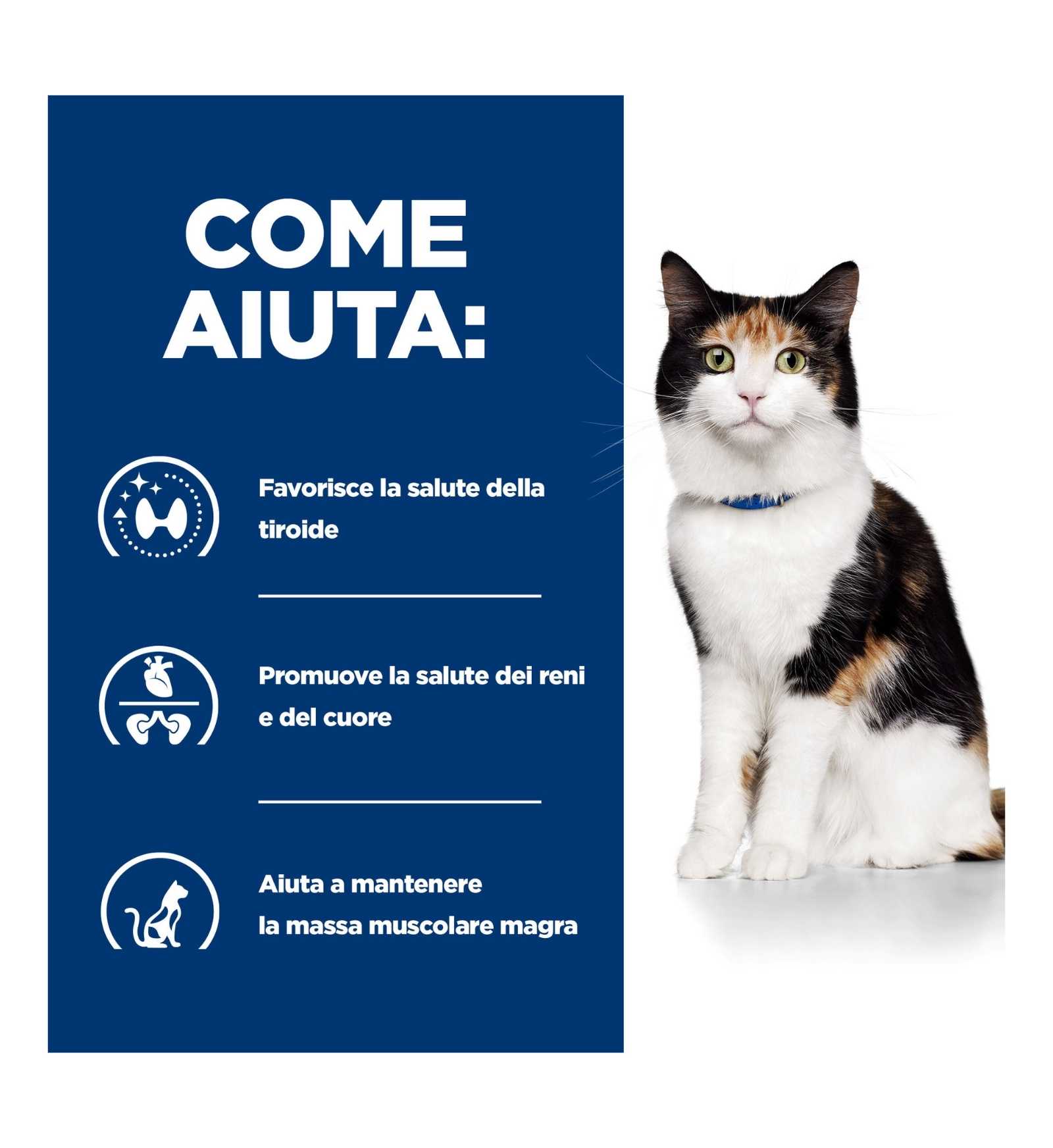 HILL'S PRESCRIPTION DIET GATTO Y/D DA 156 GR IN LATTINA