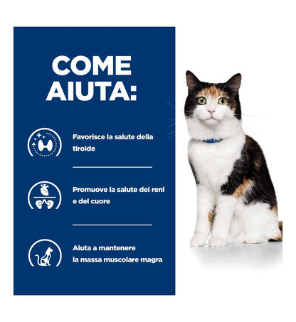 HILL'S PRESCRIPTION DIET GATTO Y/D DA 156 GR IN LATTINA