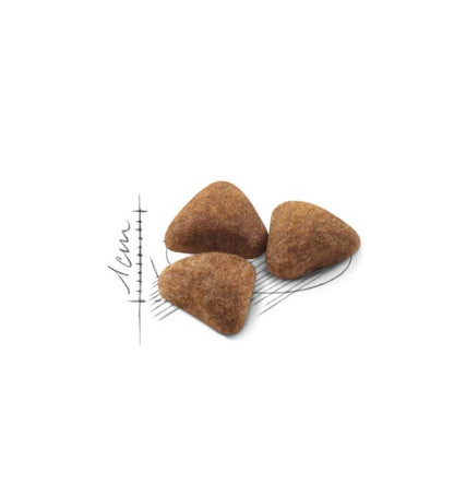NATUA SPECIFIC CANE MANZO DA 400 GR IN LATTINA