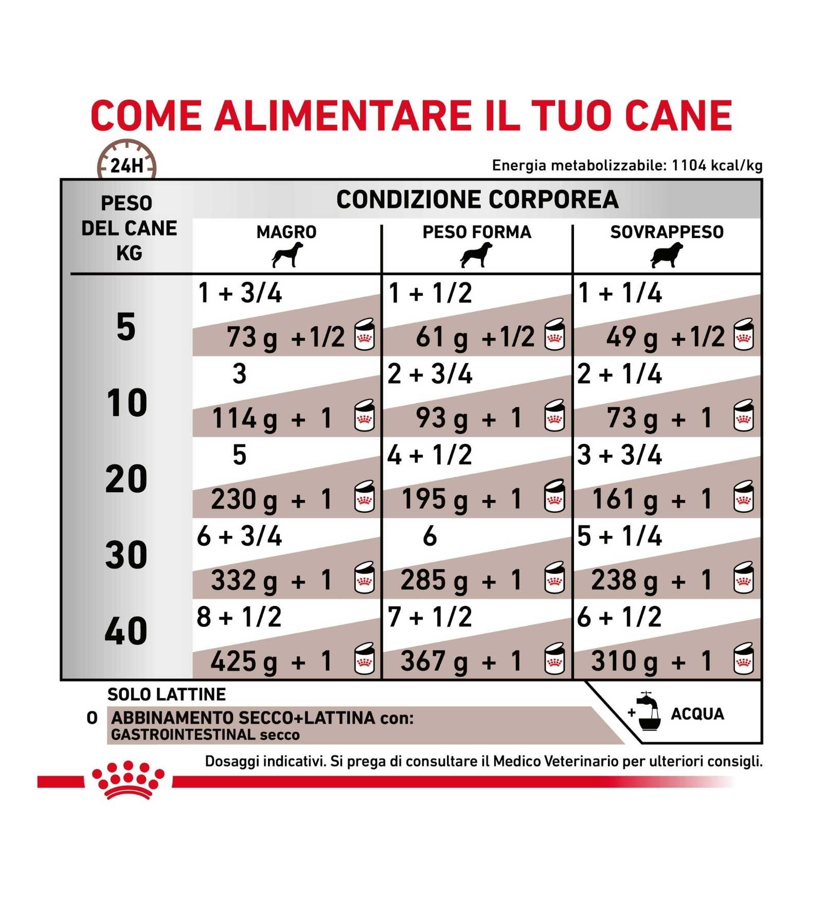 ROYAL CANIN CANE DIET GASTROINTESTINAL IN LATTINA