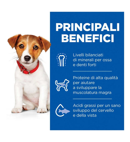 HILL'S SCIENCE PLAN CANE PUPPY SMALL & MINI AGNELLO E RISO