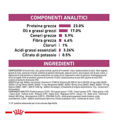 ROYAL CANIN GATTO DIET RENAL