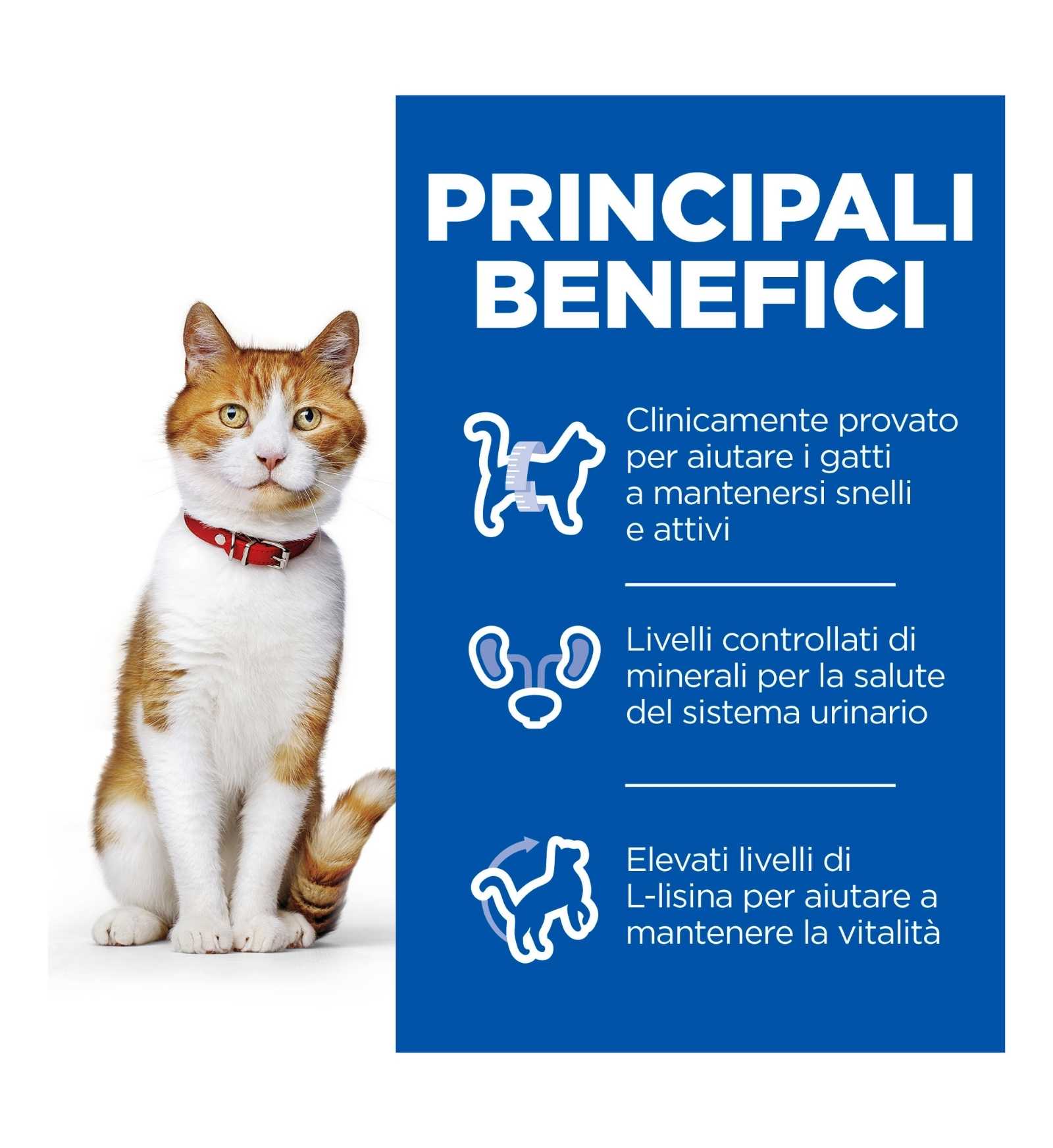 HILL'S SCIENCE PLAN GATTO ADULT STERILIZZATO ALL' ANATRA