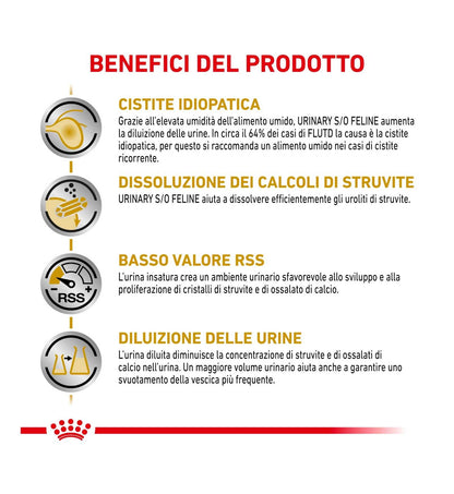 ROYAL CANIN GATTO URINARY LOAF DA 85 GR IN BUSTA