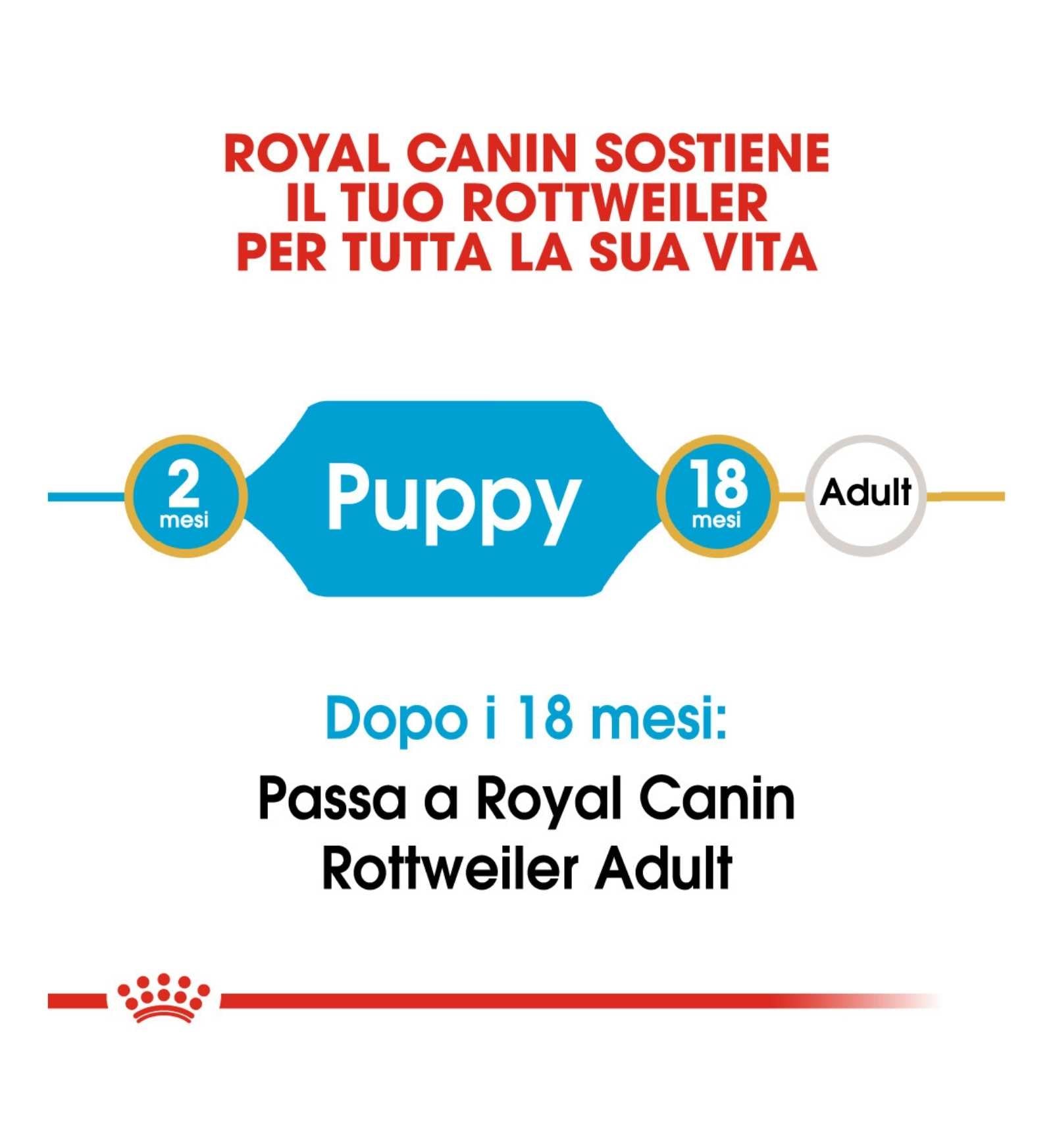 ROYAL CANIN CANE BREED ROTTWEILER PUPPY DA 12 KG