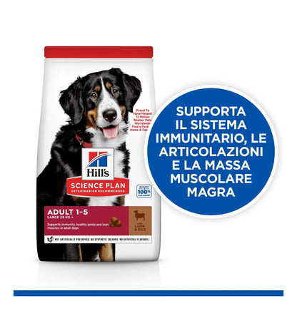 HILL'S SCIENCE PLAN CANE ADULT LARGE BREED ALL'AGNELLO E RISO DA 14 KG