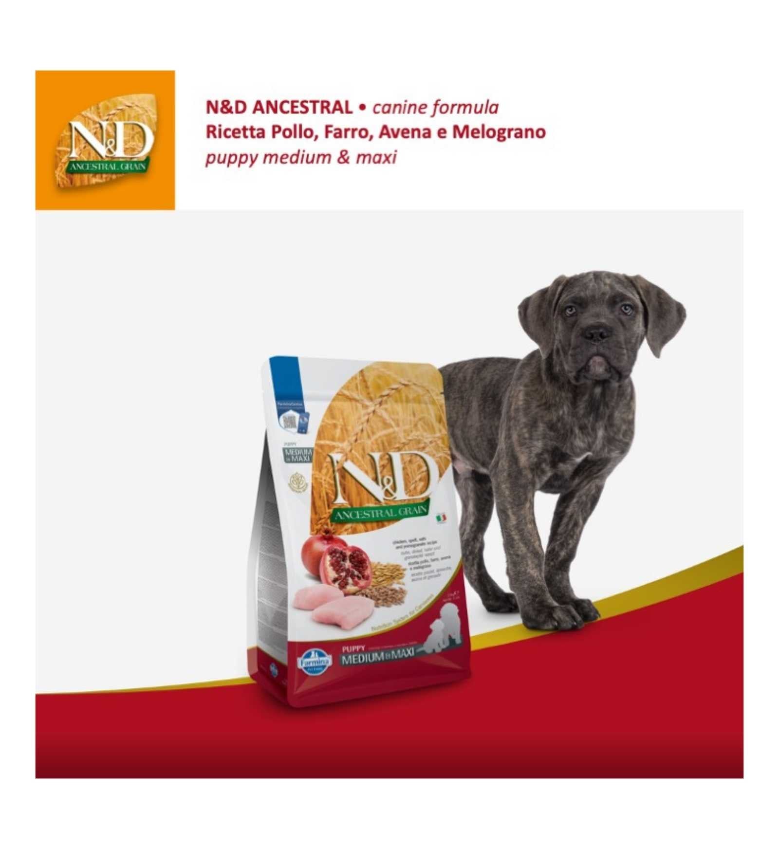 FARMINA N&D ANCESTRAL CANE LOW GRAIN PUPPY MEDIUM & MAXI POLLO E MELOGRANO