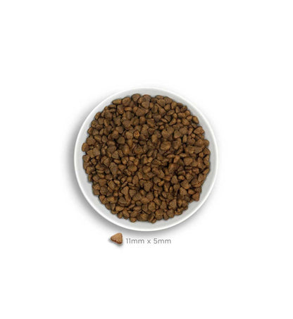 AMANOVA CANE ADULT MINI SENSITIVE DELICIOUS AGNELLO DA 2 KG