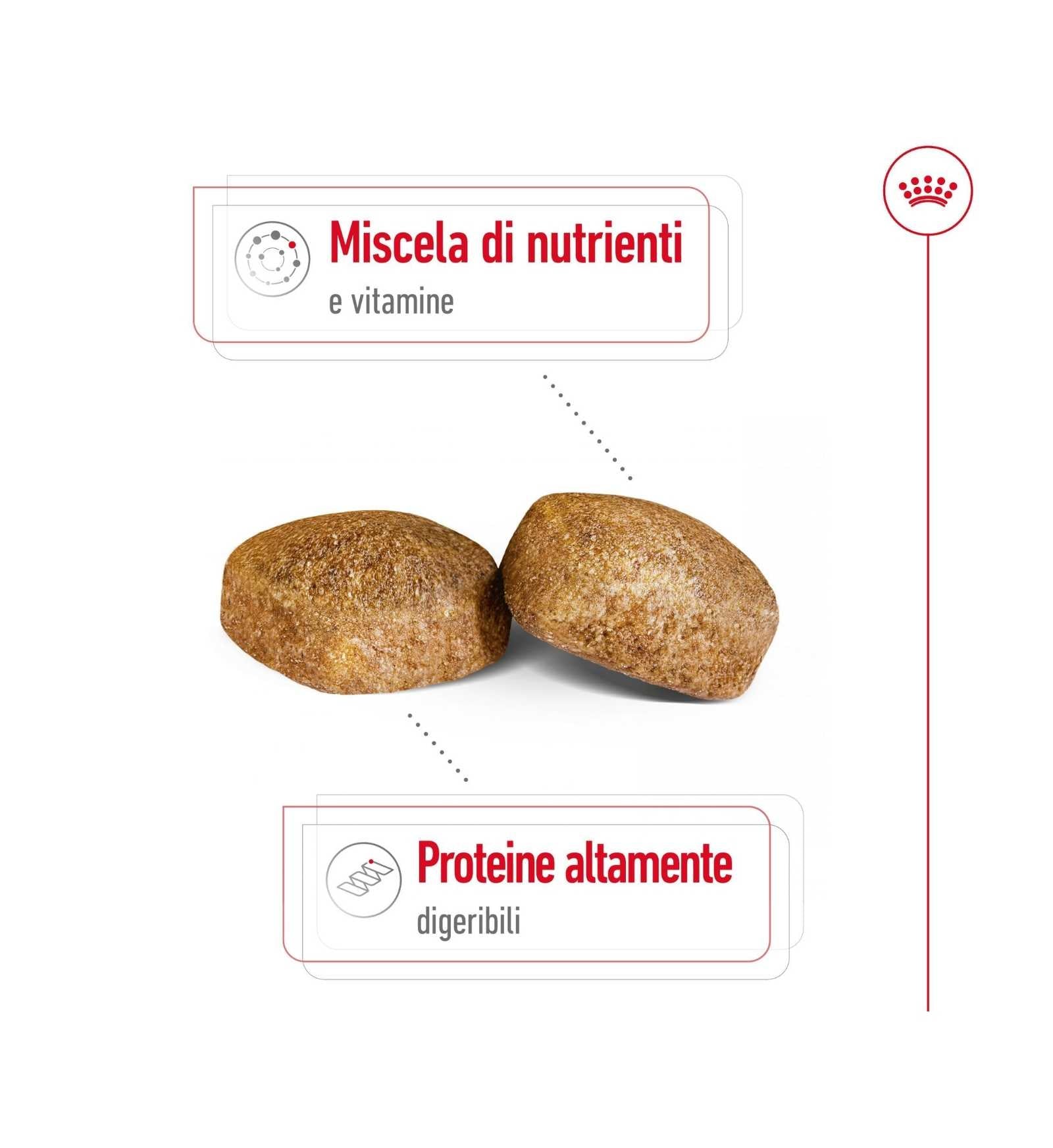 ROYAL CANIN CANE ADULT GIANT DA 15 KG