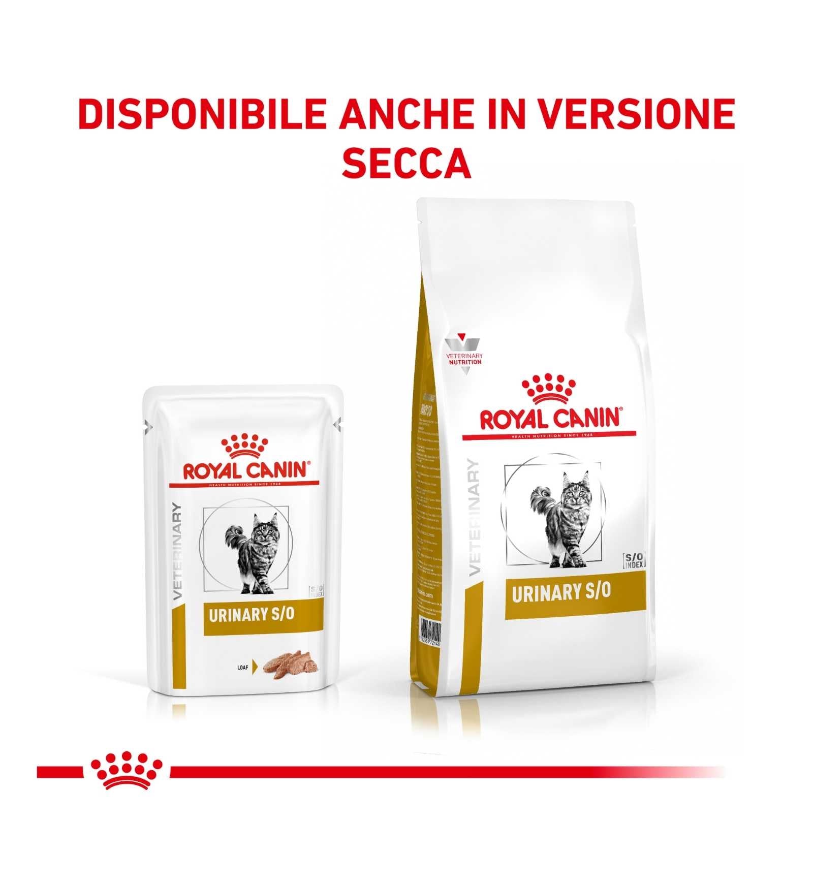 ROYAL CANIN GATTO URINARY LOAF DA 85 GR IN BUSTA