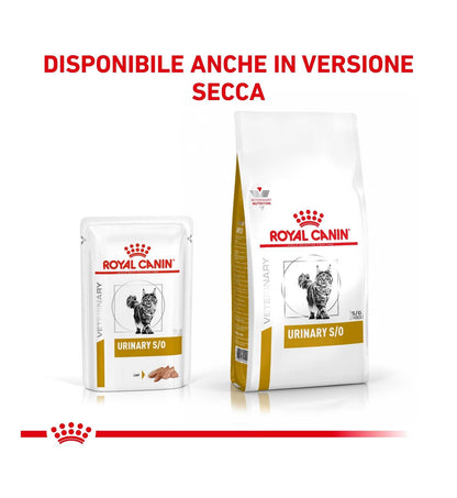 ROYAL CANIN GATTO URINARY LOAF DA 85 GR IN BUSTA