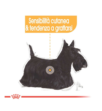 ROYAL CANIN CANE ADULT MINI DERMACOMFORT